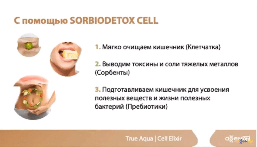 SorbioDetox Cell