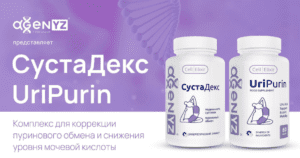 Укрепление суставов с помощью БАДов