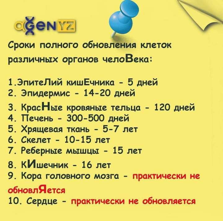 Стимулируйте иммунитет: отзывы о продукте Agenyz
