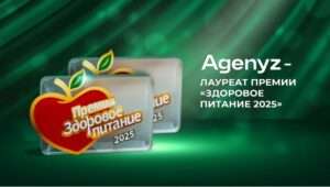 Как AGenYZ поддерживает внутренние ресурсы: подробный и честный гид