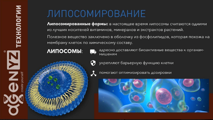 Почему AGenYZ называют инновацией