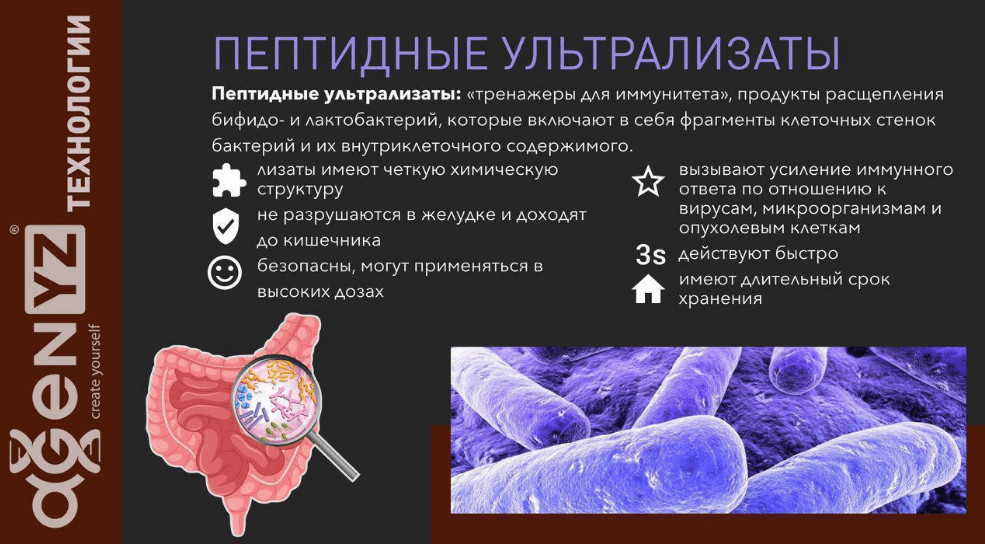 Почему AGenYZ эффективнее обычных БАД: секреты формулы, клиники и реальной пользы на каждый день